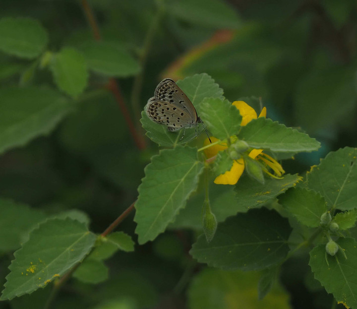 P9269059