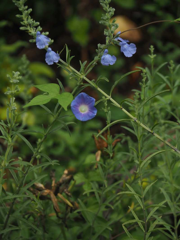 P9269065