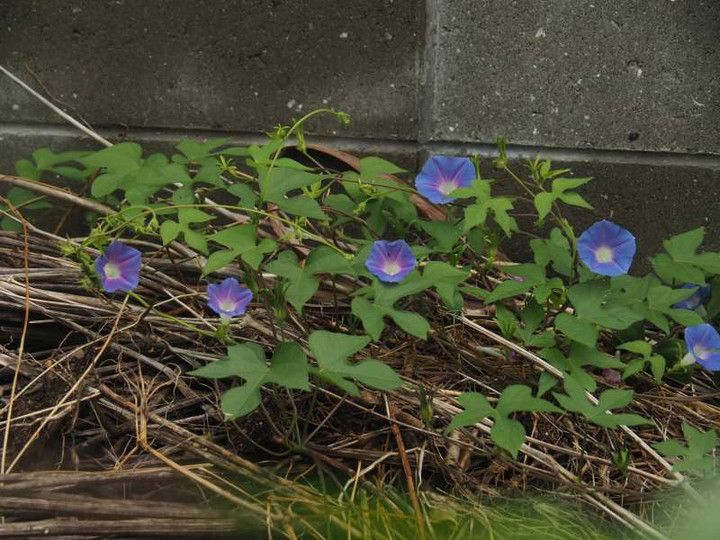 P9269070