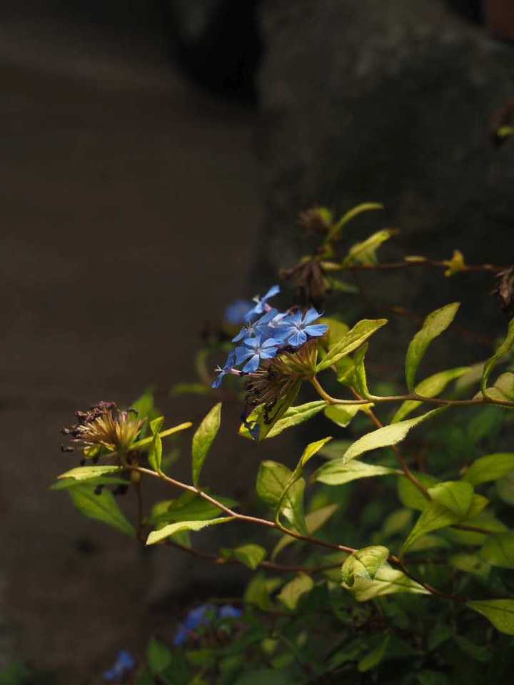 P9279092