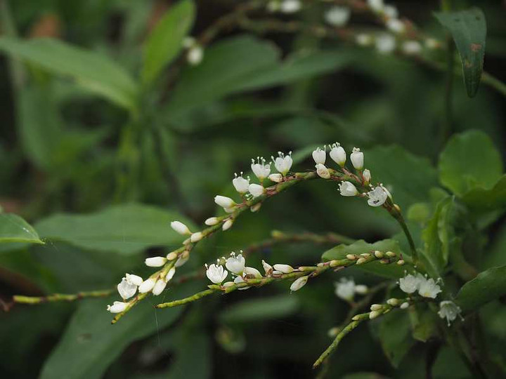 P9279127