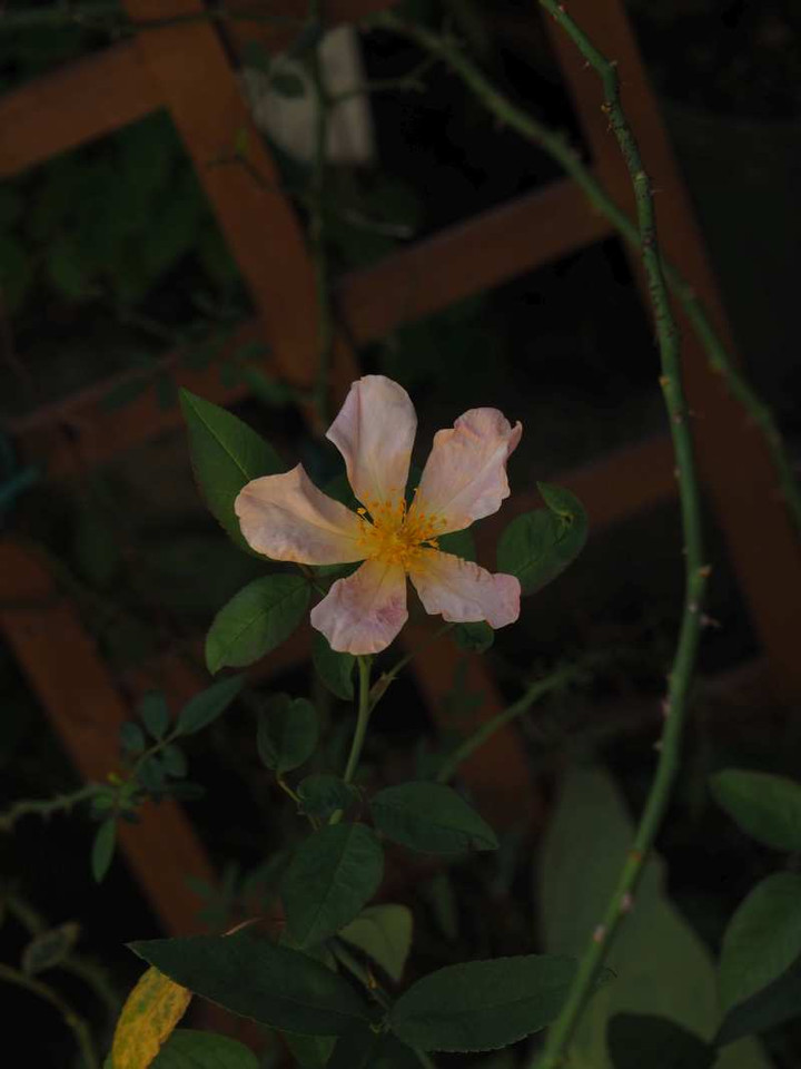 P9289144