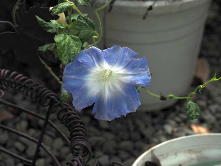 P9299172