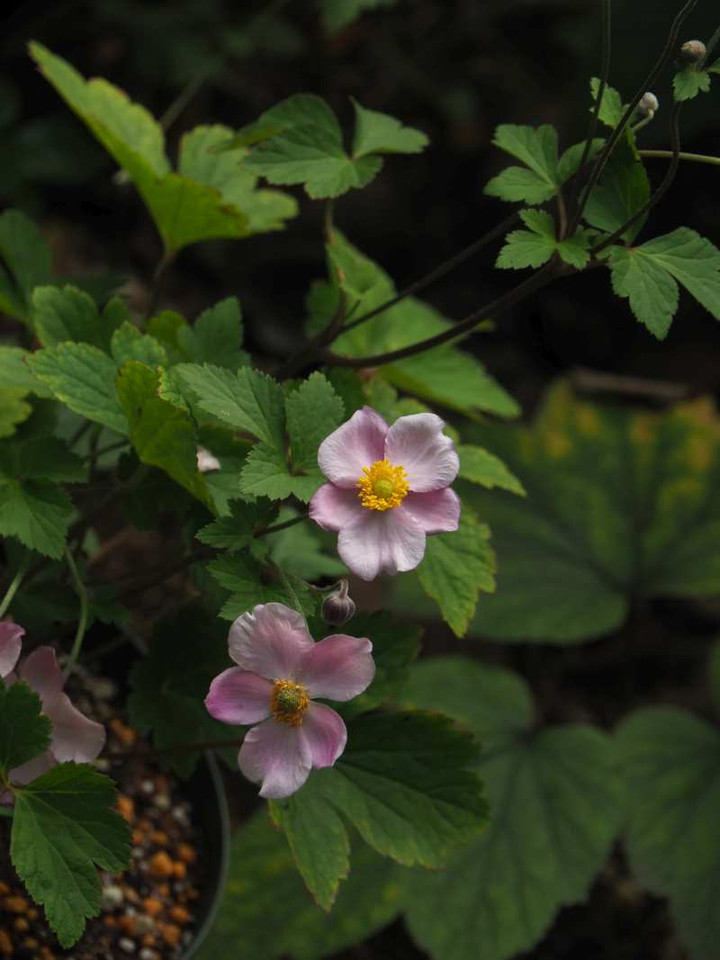 P9299179