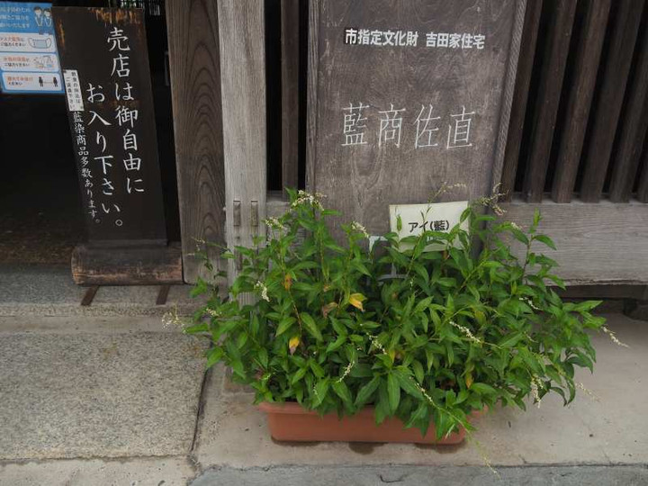 P9299209