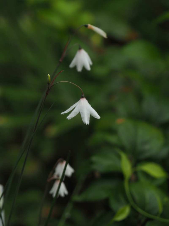 P9309253