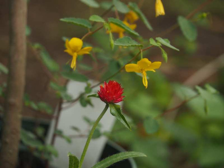 P9309269