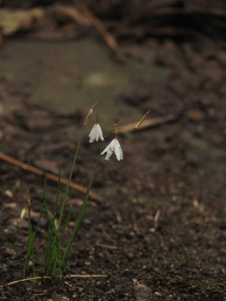 P9309280
