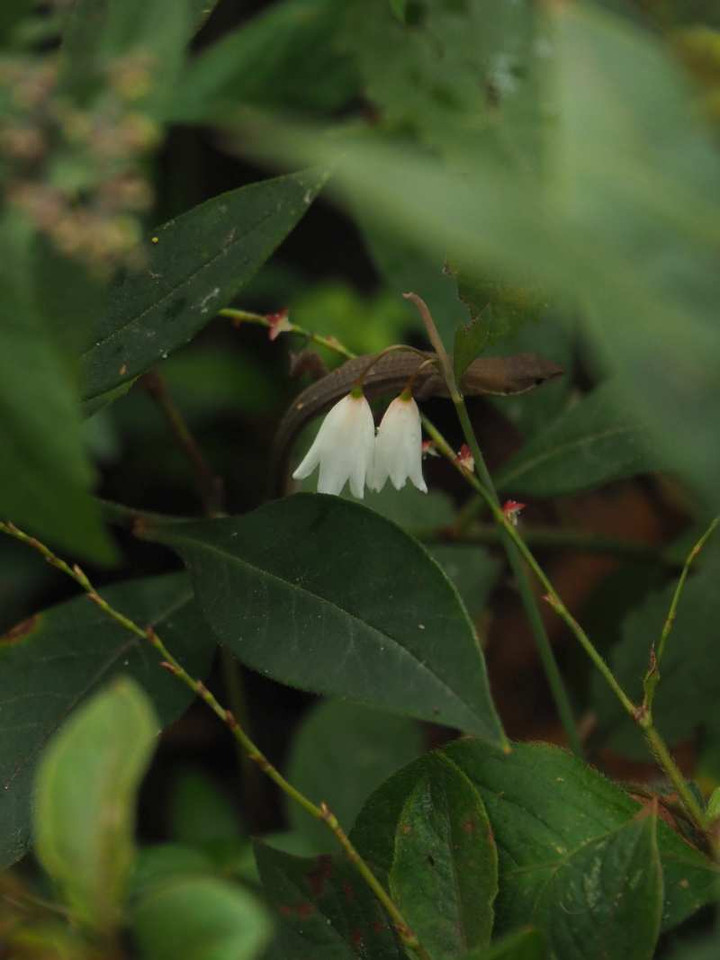 P9309281