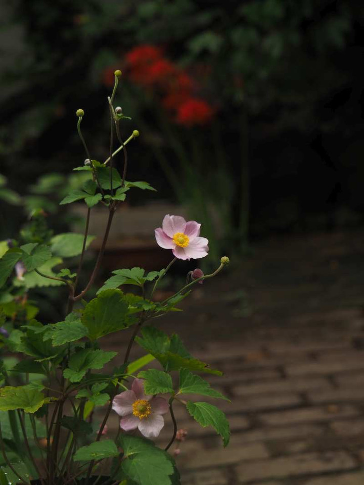 P9309289