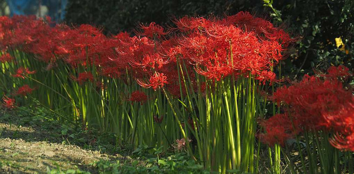 Pa019371