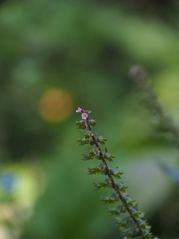 Pa059599