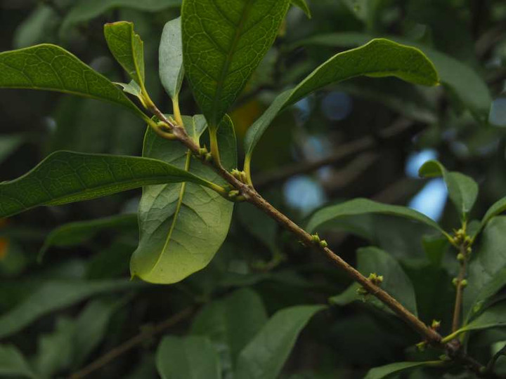 Pa109703