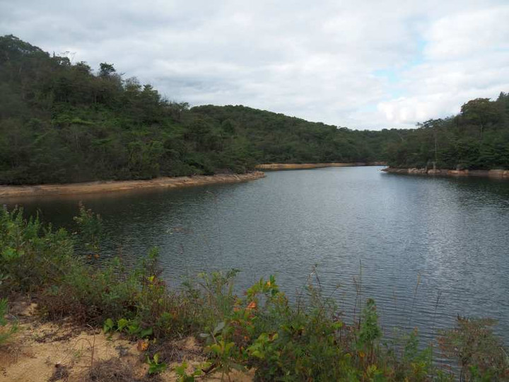 Pa119895