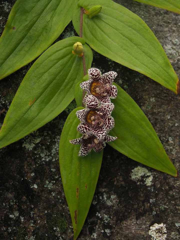 Pa169987