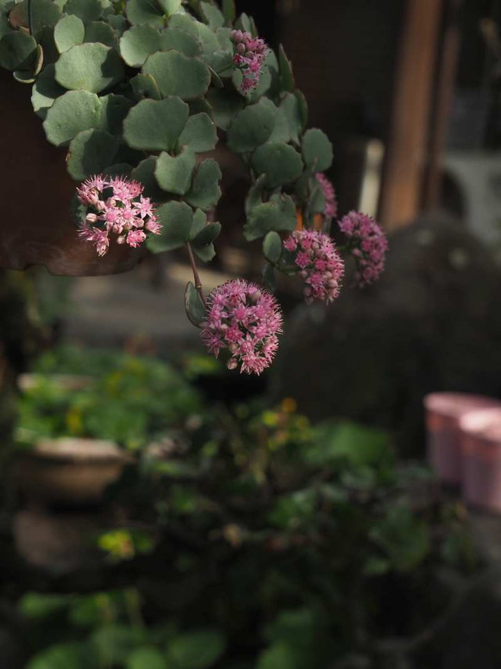 Pb010783