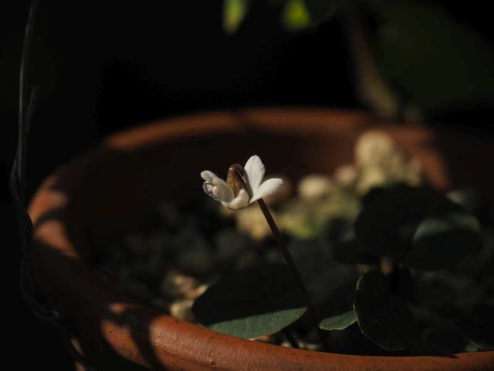 Pb040859