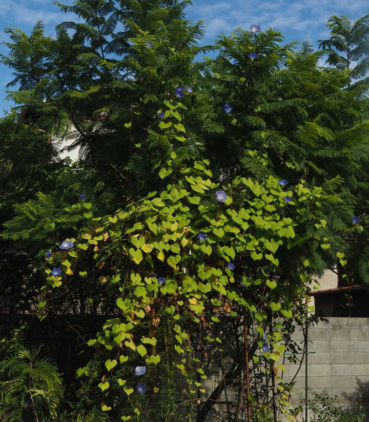 Pb050912