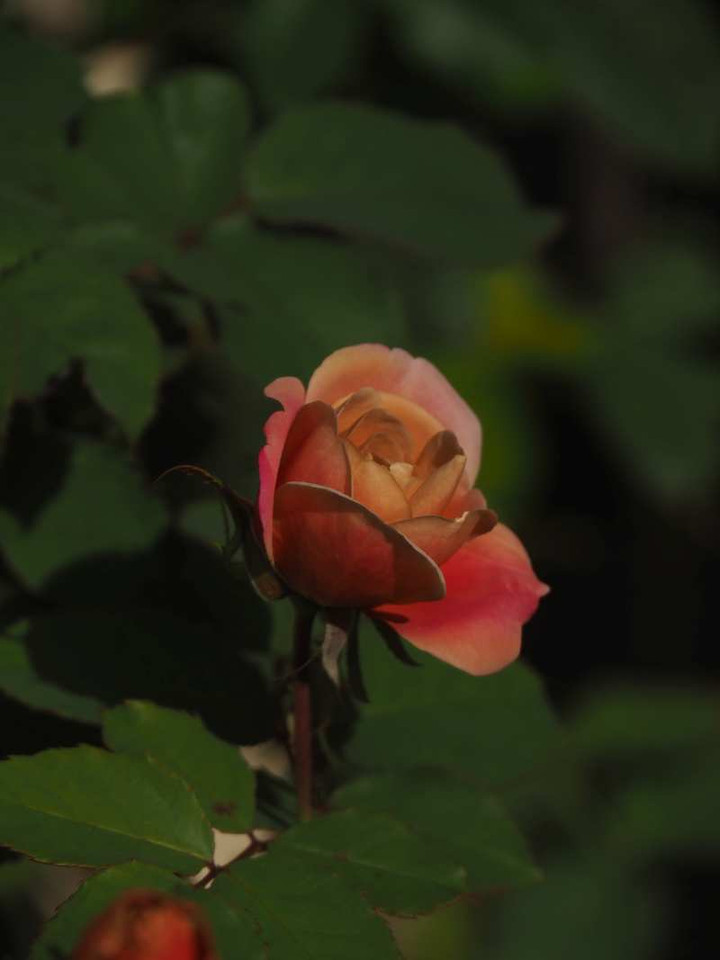 Pb060933