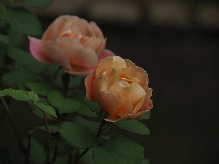 Pb070971