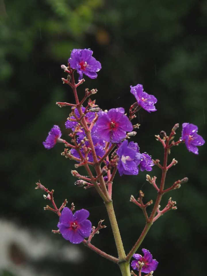 Pb070975