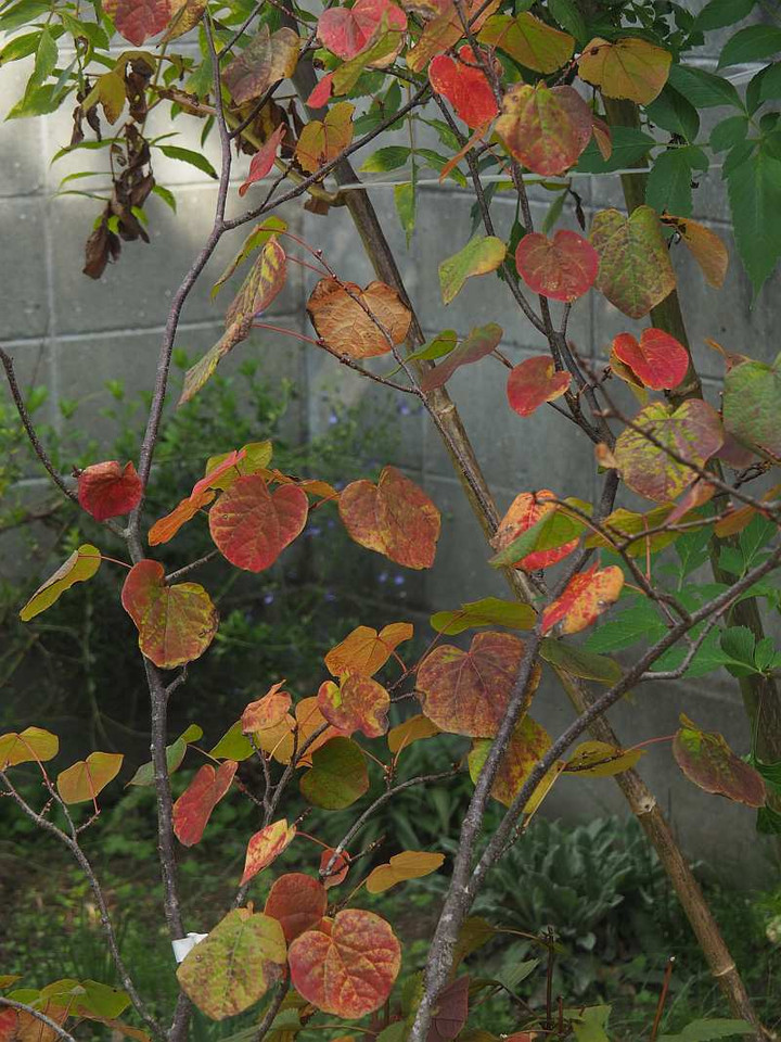 Pb111013