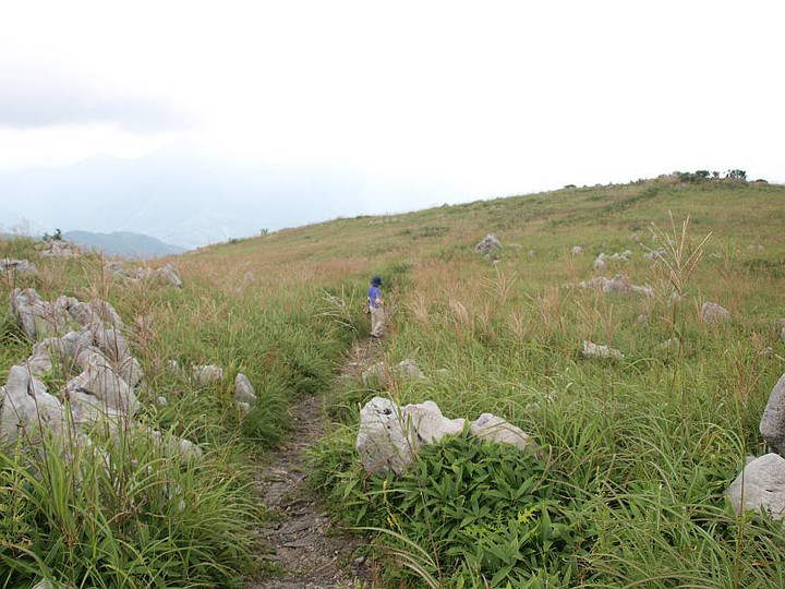 P8291891jpgtutuisann