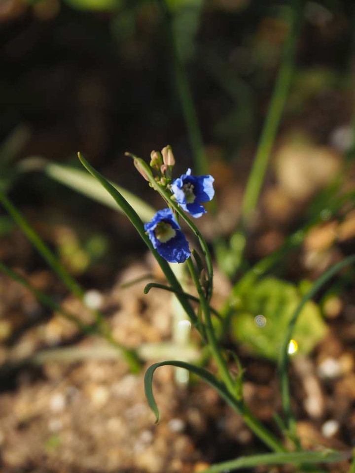 P1143826