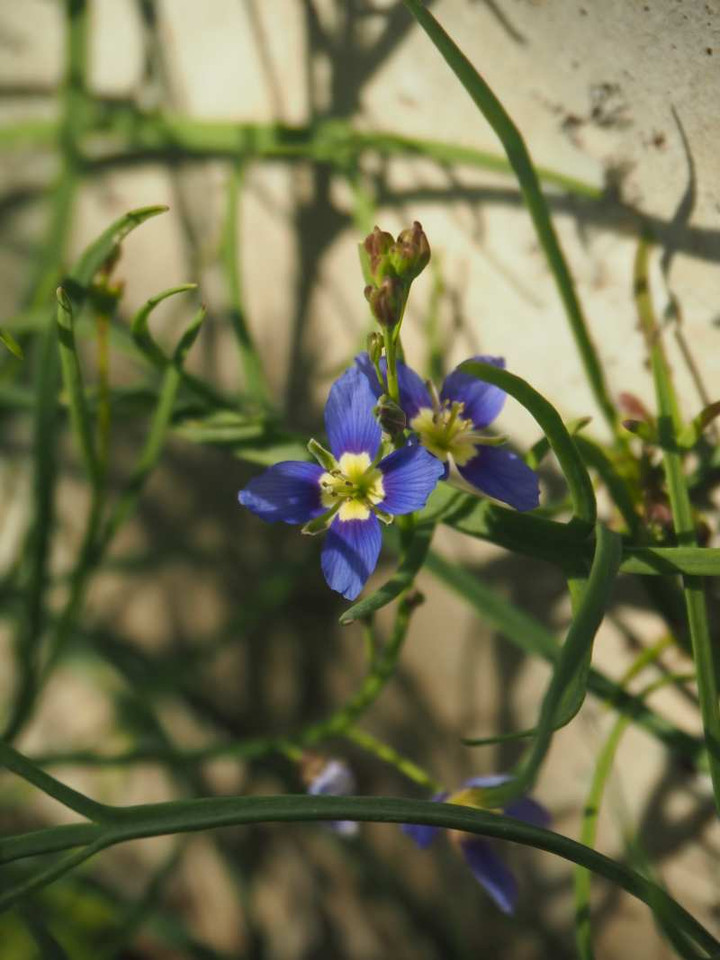 P1143830