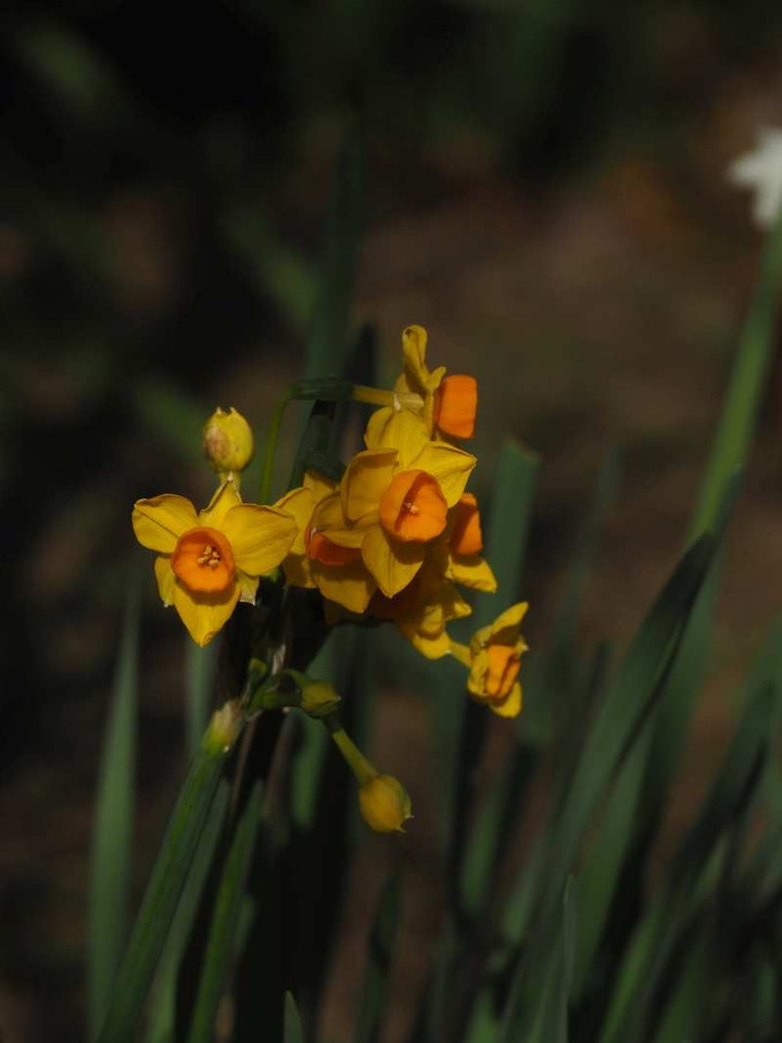 P1143833