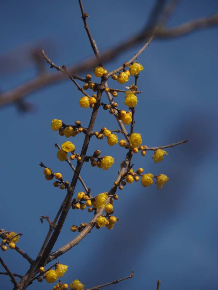 P1153841
