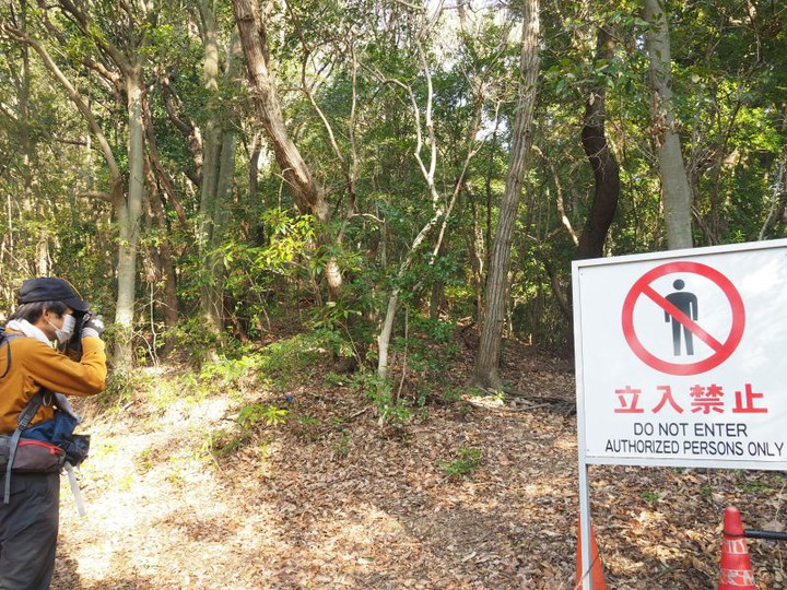 P1314332tatiirikinnsi