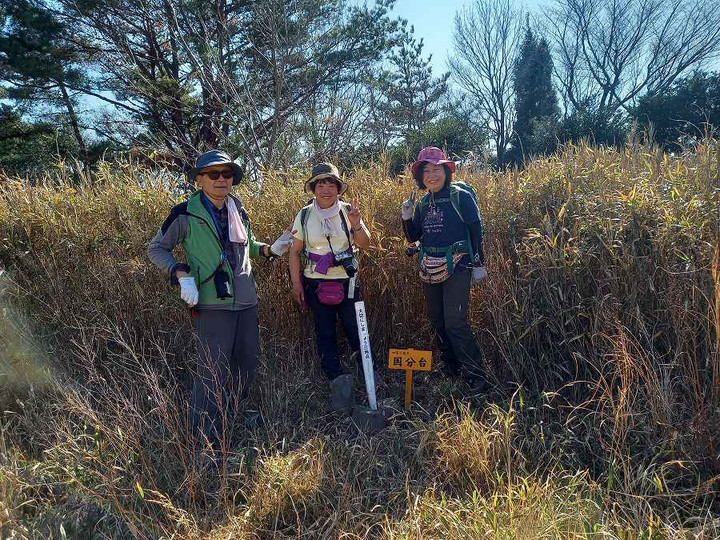 1612622305_2jpghannsode