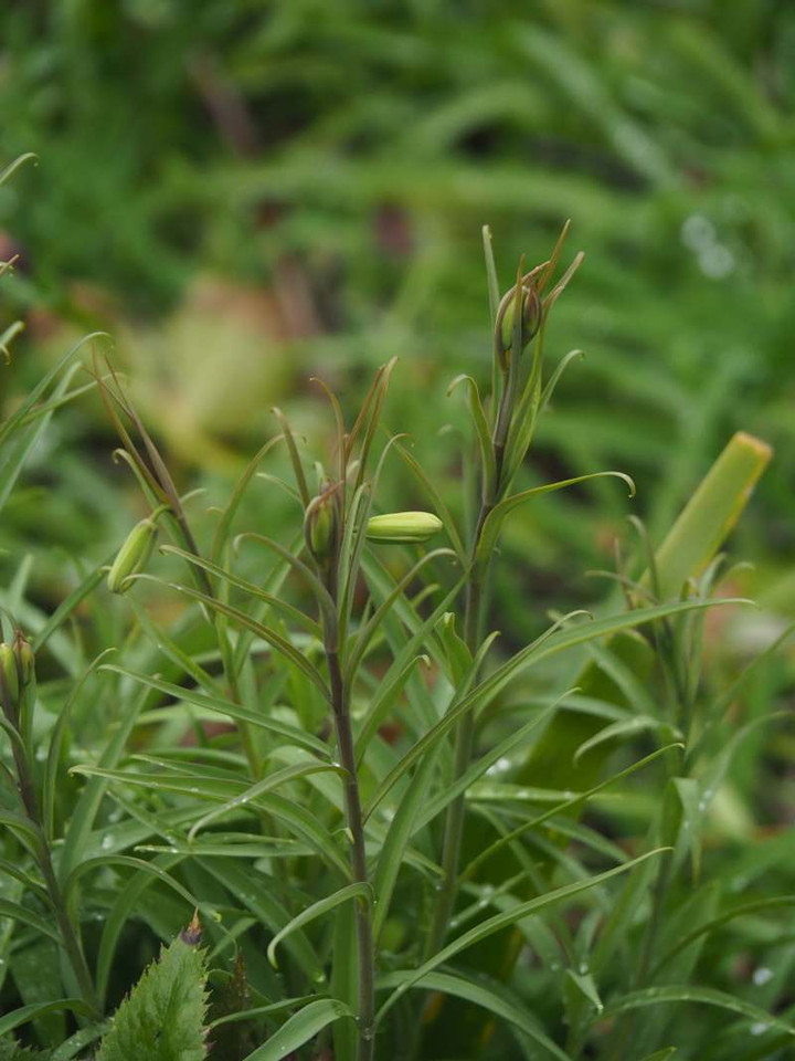 P2265803