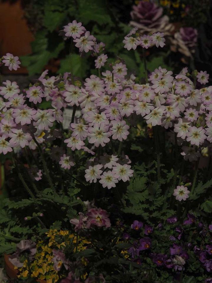 P3016186