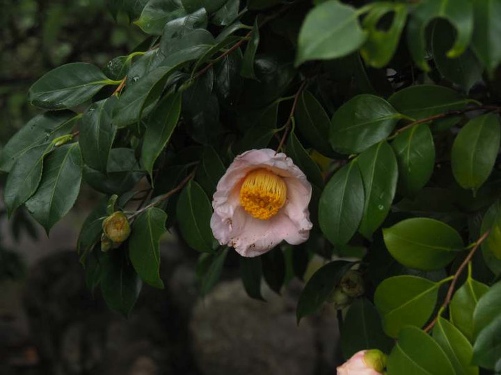 P3026226