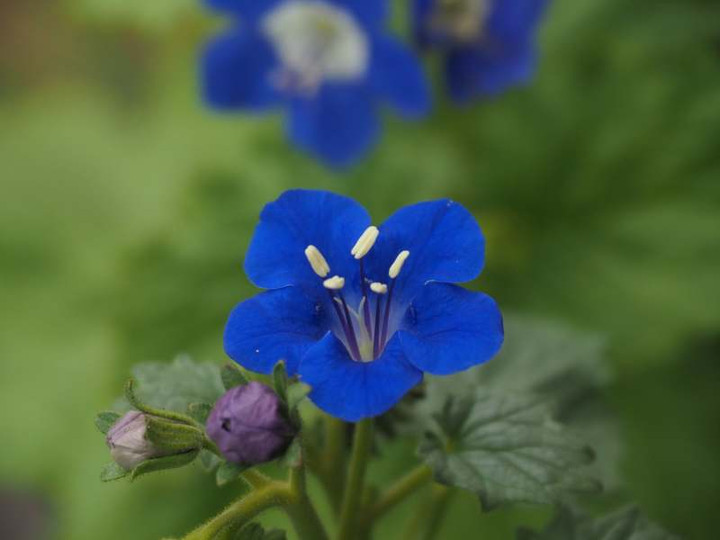 P3026229