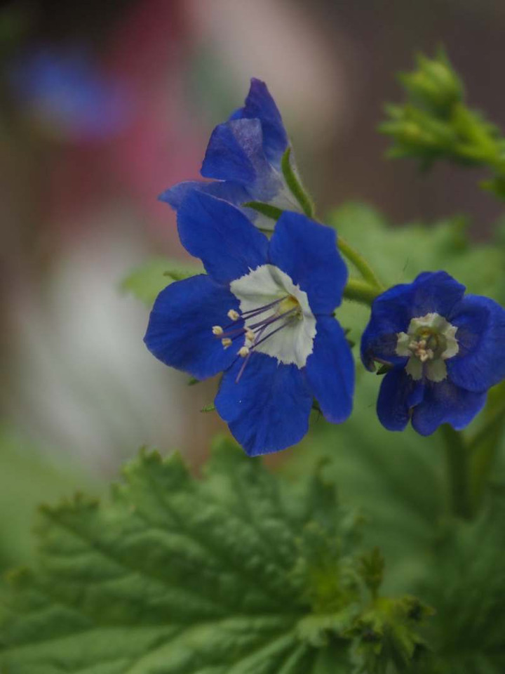 P3026230