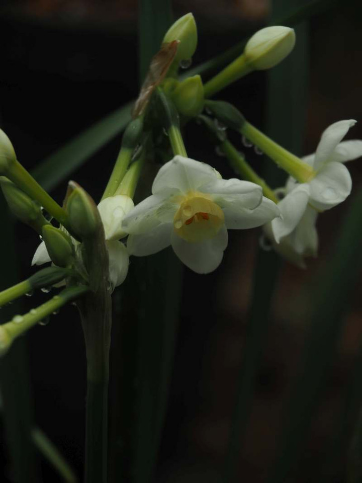 P3026245