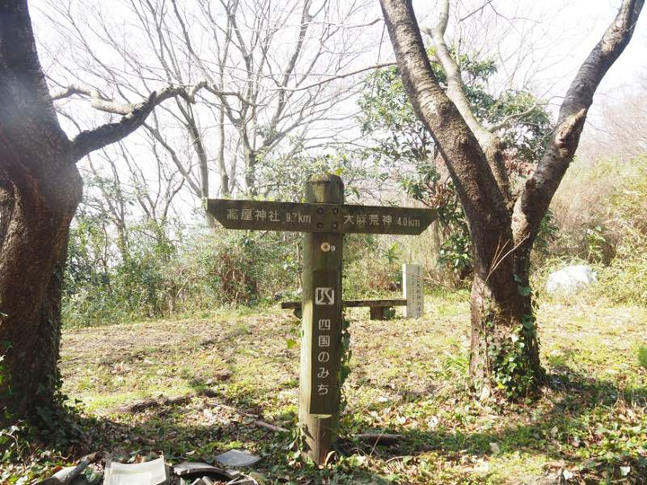 P2275926sikokunomiti