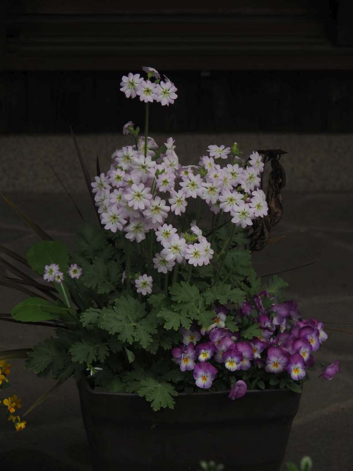 P3046329