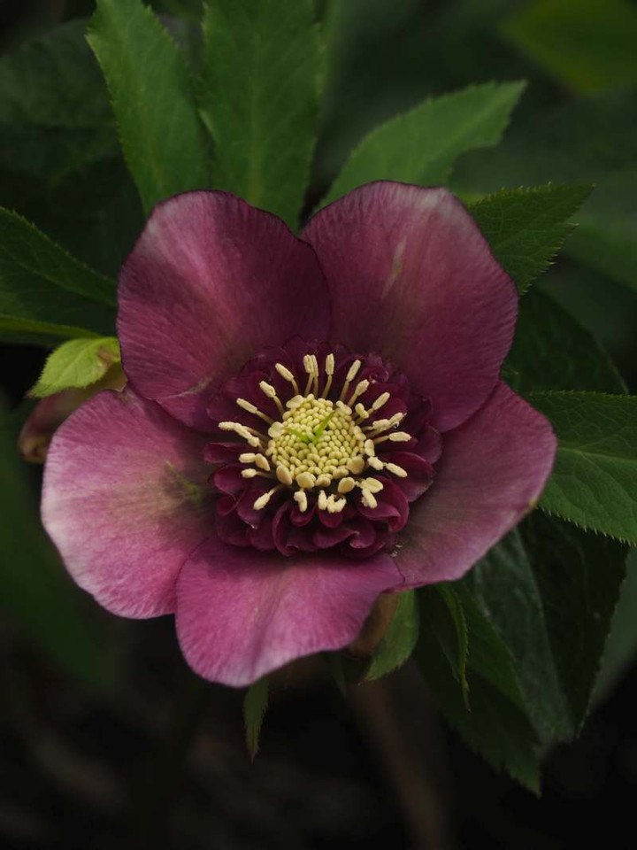P3046376