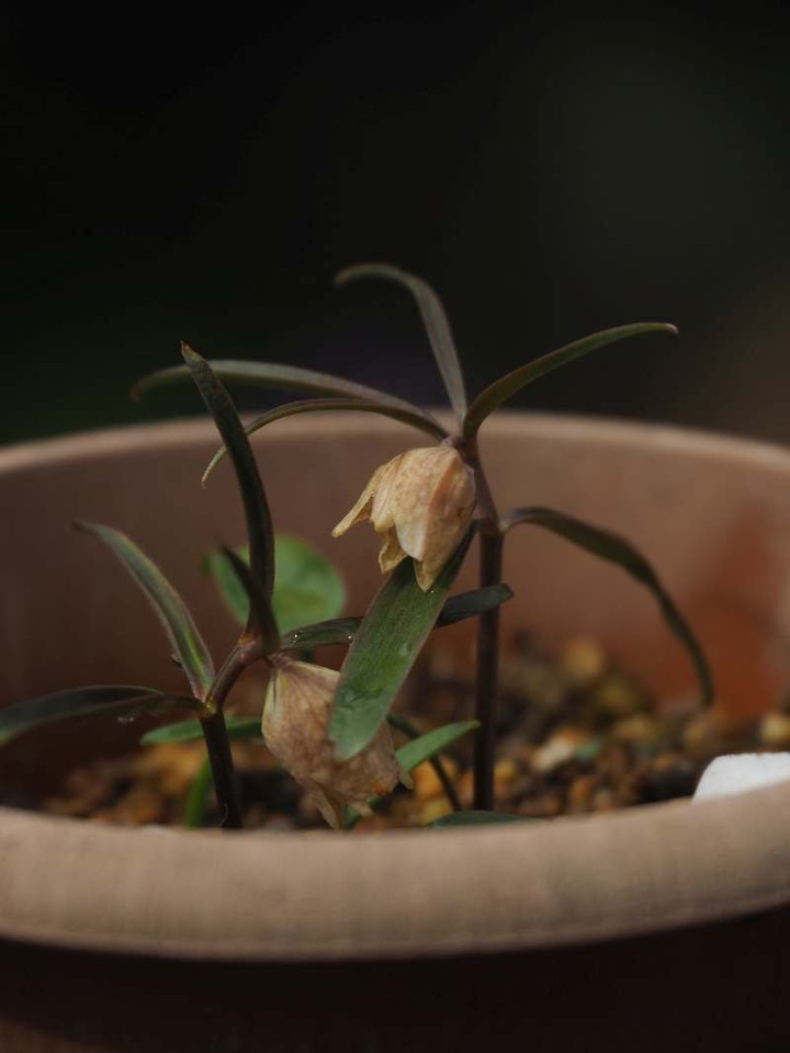 P3056400