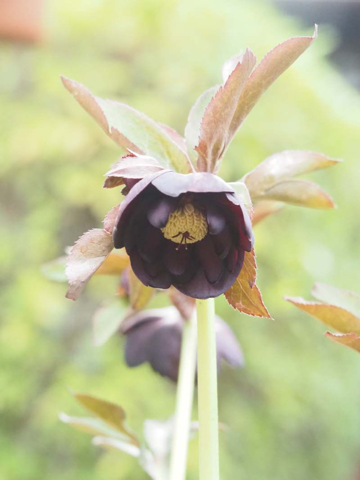 P3056471