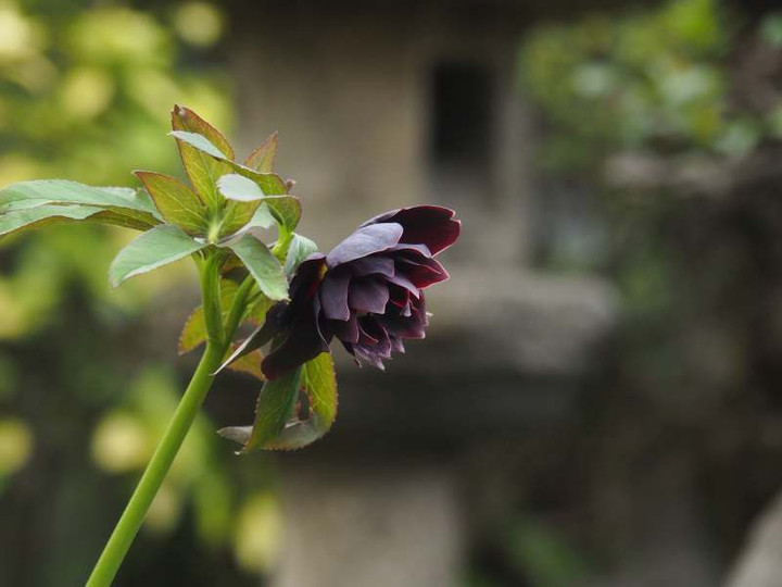 P3056472