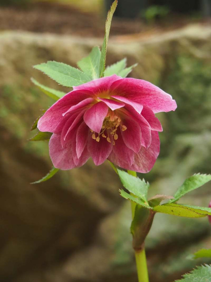 P3056473