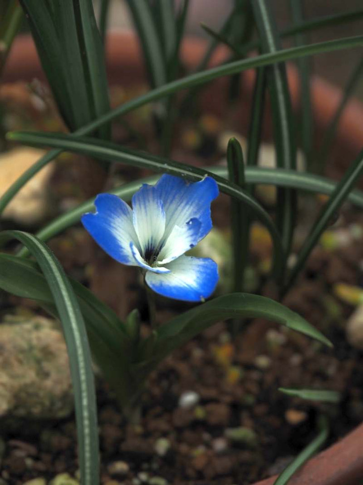 P3056452