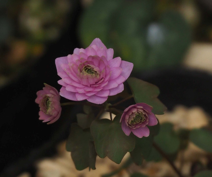 P3076801