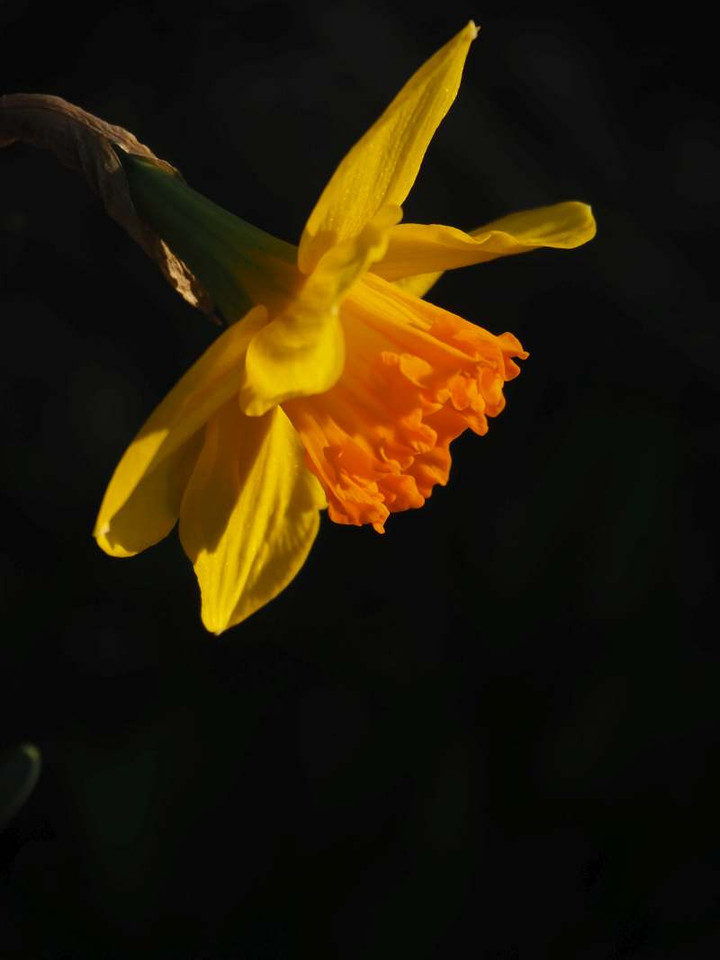 P3086870