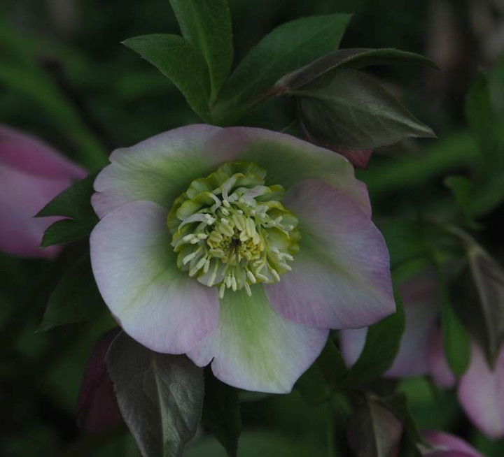 P3086884